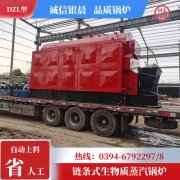WNS20-1.25-QY柴油蒸汽锅炉银晨锅炉厂