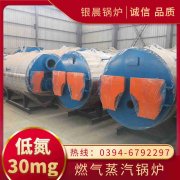 12吨燃油蒸汽锅炉银晨锅炉集团有限公司