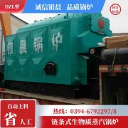 2吨天然气蒸汽锅炉价格
