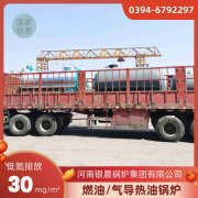 12吨燃气燃气锅炉
