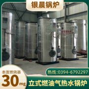 锅炉的燃气锅炉