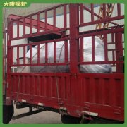 不用办证的10t生物质锅炉鼎盛锅炉