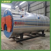 福建15t冷凝导热油炉