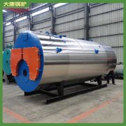 燃煤锅炉哪里好WNS型厂家地址